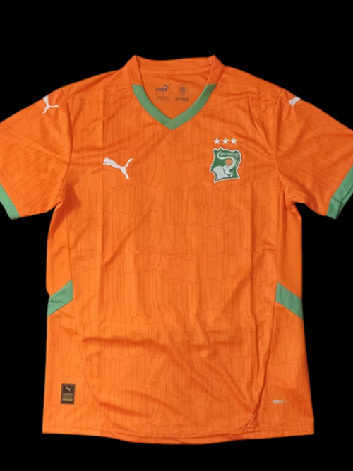 Cote d'Ivoire Maillot Domicile 25/26