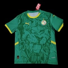 Sénégal Maillot Extérieur 25/26
