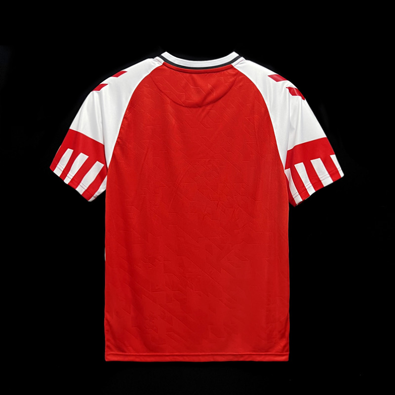 Danemark Maillot Domicile 23/24 - Maxi Kits