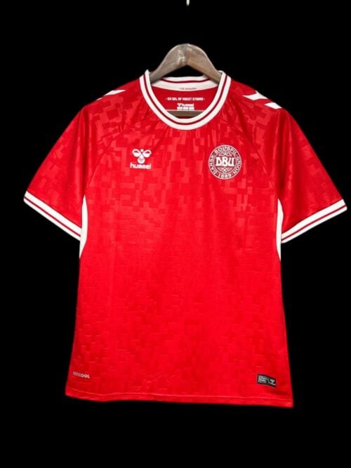 Danemark Maillot Domicile 24/25
