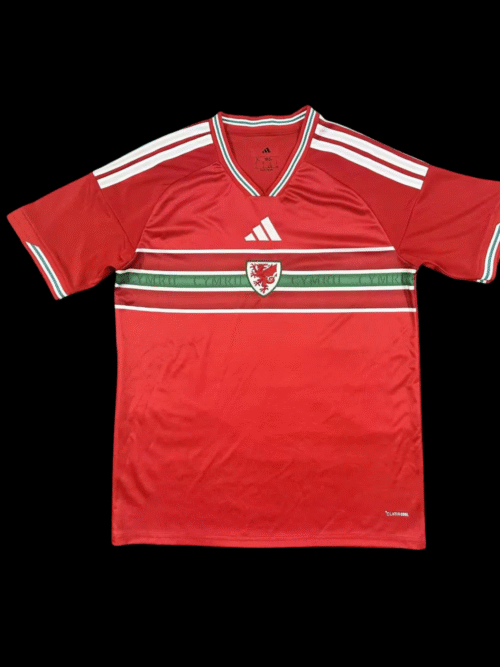 Pays Galles Maillot Domicile 26/27