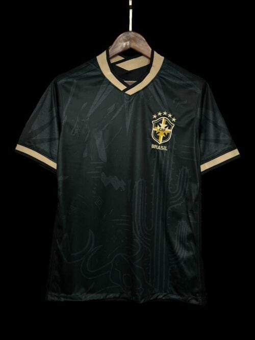 Camiseta Concepto Brasil 24/25