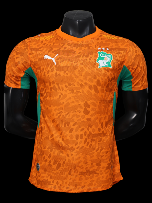 Cote d'Ivoire Maillot Domicile 26/27 - Version Player