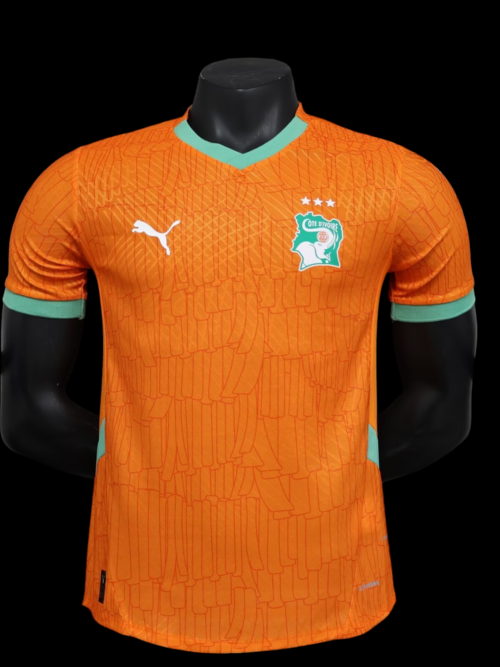 Cote d'Ivoire Maillot Domicile 25/26 - Version Player