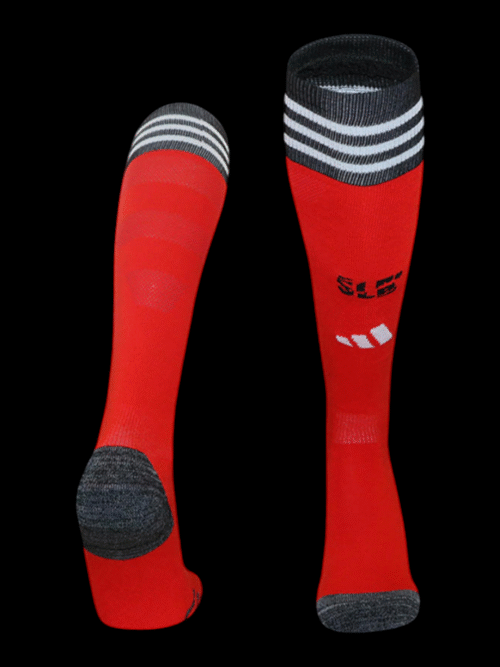 Benfica Chaussettes Domicile 25/26