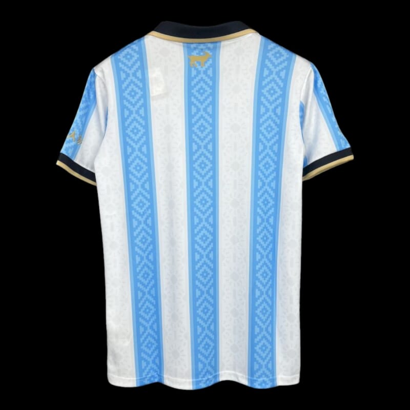 Argentine Maillot Concept – Image 3