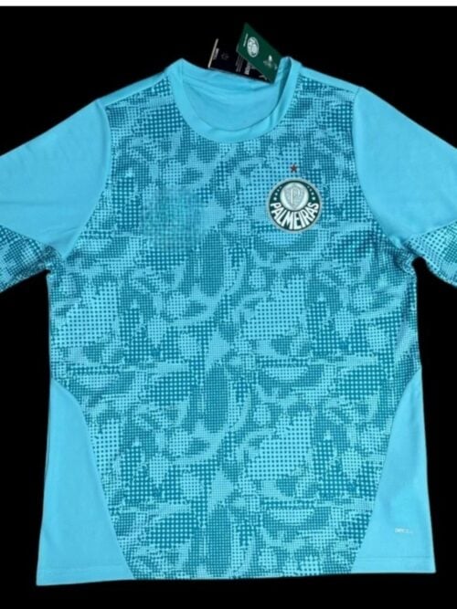 Palmeiras Maillot Gardien 26/27