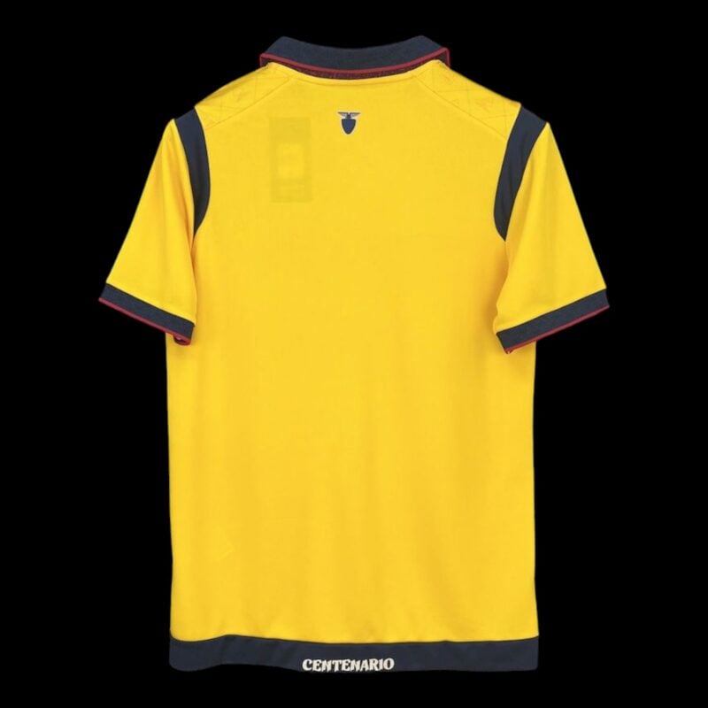 Equateur Maillot Domicile 25/26 – Image 2