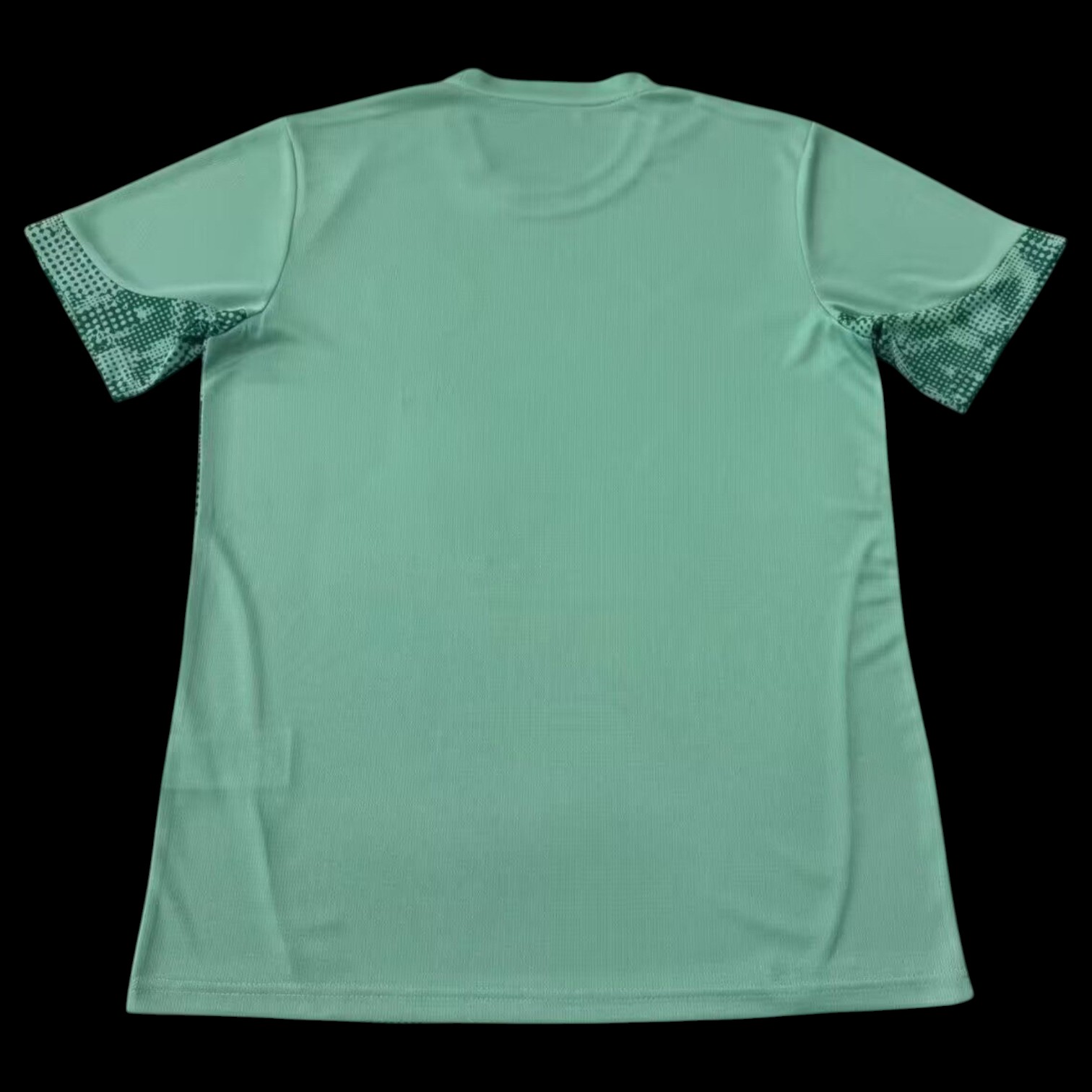 Palmeiras 26/27 サッカー GK Special Edition