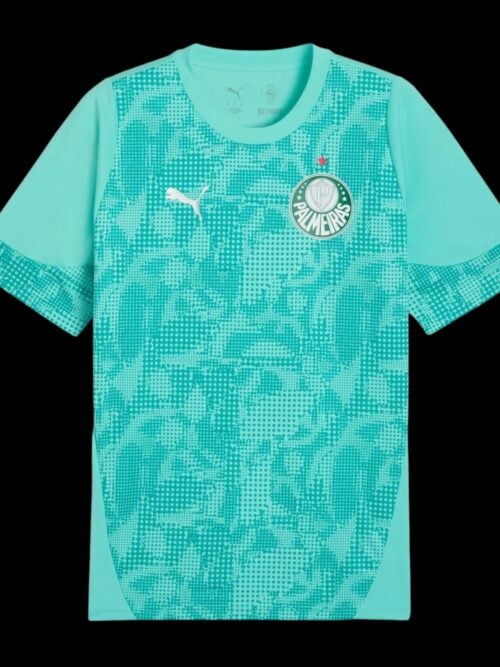 Palmeiras Goalkeeper Jersey 26/27
