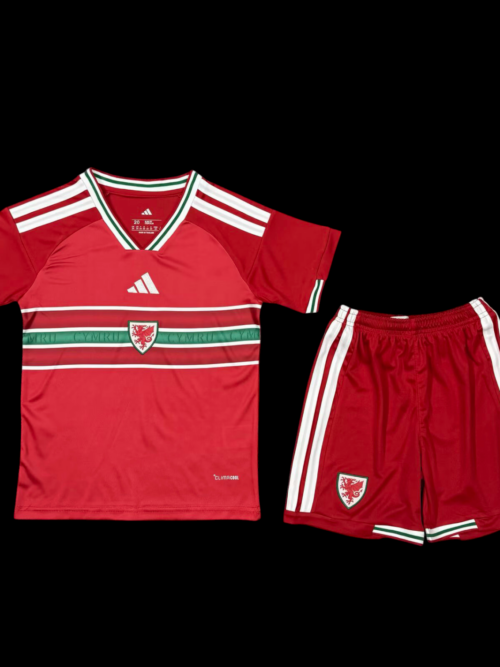 Pays de Galles Maillot Domicile 26/27 - Enfant