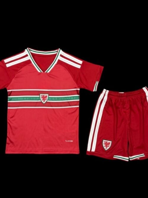 Pays de Galles Maillot Domicile 26/27 - Enfant