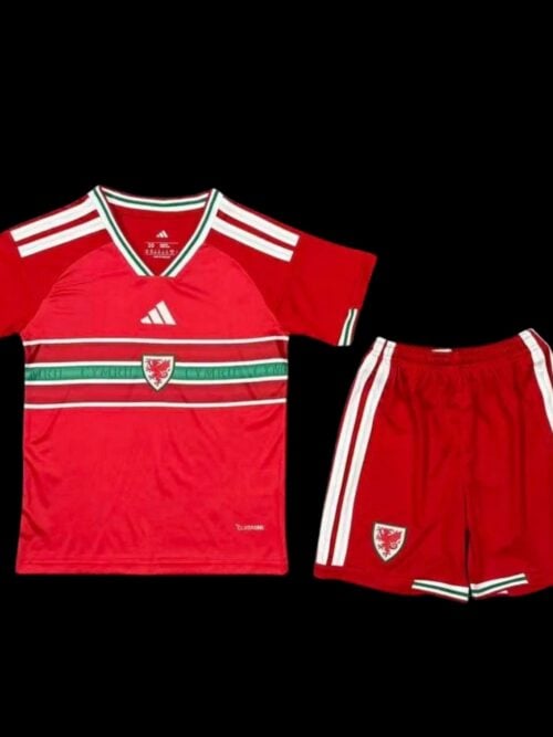 País de Gales jersey local 26/27 - Infantil