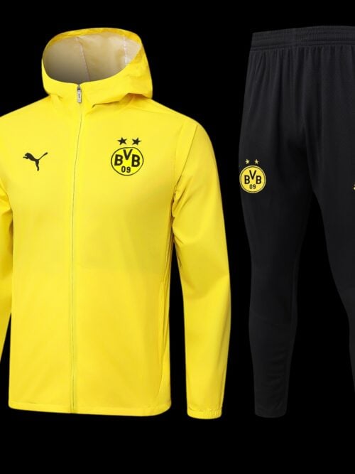 Dortmund Conjunto de entrenamiento