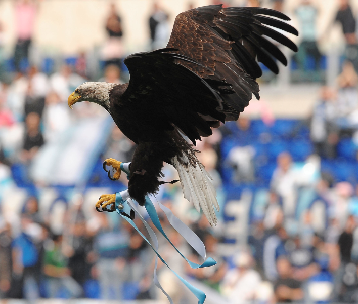 L'aigle, symbole de la Lazio
