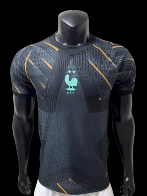 France Maillot Gardien 26/27 - Version Player