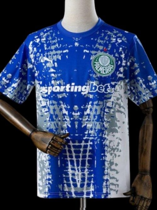 Palmeiras Maillot Gardien Bleu 26/27