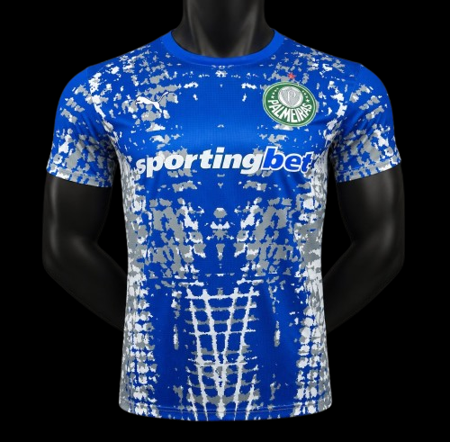Palmeiras Maillot Gardien 26/27 - Version Player